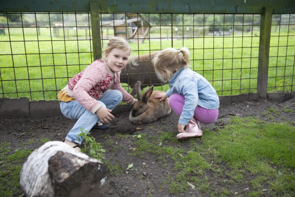 Dierenweide Bussum Naarden